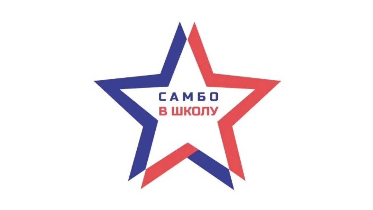 Призёры регионального этапа Всероссийской школьной лиги самбо «Мир самбо»